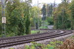 Bemerkenswert ist der Zustand des bergan führenden (linken) Gleises der Schusterbahn bei Stuttgart-Münster am 12.