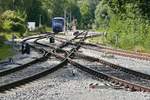 Fokus nicht auf den Triebwagen sondern auf die Weichen und Gleise im Bahnhof Hanfertal.