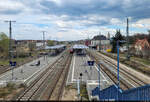 Bahnsteiganlagen des Bahnhofs Neubrandenburg im �berblick von der Fu�g�ngerbr�cke.
Von 2016 bis 2018 wurde der Bahnhof umfassend saniert und die Bahnsteige dabei auf Regionalzug-L�nge gek�rzt. Ab fr�hestens 2027 sollen auf Wunsch des Landesverkehrsministeriums doch wieder Fernverkehrsbahnsteige errichtet werden.

🕓 13.4.2025 | 15:21 Uhr