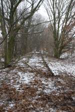 24.2.2013 Oderbruchbahn zwischen Gro Neuendorf (Blickrichtung) und Kienitz Amt.