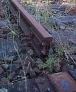 22.7.2014 Bernau. Demontiertes Anschlussgleis mit Schienenbefestigung älteren Typs