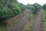 Geheimnisvolle Gleise im Wald bei Knappenrode am 04.08.2014: links das Gleis der Strecke Bautzen–Knappenrode, das zwischen Caminau und Knappenrode noch dem Güterverkehr dient; rechts das