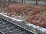 An der Strecke Lietzow-Binz findet man noch die alten Kilometersteine(teils ohne Kilometrierung),wie Diesem den ich an der Station Prora Ost,am 26.Januar 2015,fand.