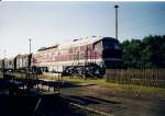 Zwischen Neustrelitz und Rostock liegt der kleine Bahnhof Kratzeburg.Auf dem dortigen ehmaligen Ladegleis steht die ehmalige 232 387 und zahlreiche Bauzugwagen die zu einem Hotel umgebaut wurden.Selbst in der Lok kann man schlafen ! Aufnahme entstand im August 2005.