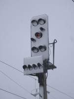  Opfer  vom zurckgekommenen Winter,am 06.Februar 2013,in Bergen/Rgen.