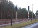 Die Ausfahrsignale aus Lubmin Werkbahnhof Richtung Greifswald am 13.Dezember 2015.