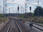 Die Durchfahrvorsignale von Prenzlau,aufgekommen von einem Bahnübergang,am 19.August 2016.