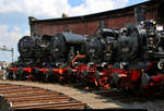 Dampflokparade:  43 001, 44 1338, 75 515 und 38 205 des Sächsischen Eisenbahnmuseum Chemnitz-Hilbersdorf e.V.