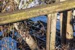 Zwei Schienengenerationen treffen an einer Bahnbrücke in Thann-Matzbach aufeinander. Während die Schienen der KBS 940 an ihrer Oberfläche vor Glanz nur so strotzen, wurde einem alten  Veteran  ein weiteres Leben als Geländer im Bereich des Brückenzuganges geschenkt. Und auch das gewiß seit vielen Jahren. (06.01.15)