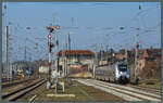 9442 814 der Abellio Rail Mitteldeutschland passiert die westliche Ausfahrsignalgruppe im Bahnhof Sangerhausen, die vom elektromechanischen Reiterstellwerk Sb gesteuert wird.
