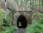 Südportal Maulbergtunnel (Länge 38m, Radius 100m) bei km 2,6 der ehemaligen Schmalspurbahn Goßdorf-Kohlmühle - Hohnstein (Schwarzbachbahn); vom Bahnhof Kohlmühle, 04.06.2020  