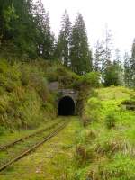 Hier ein Tunnel auf der Stillgelegten Strecke Triptis-Marxgrn am 09.05.13