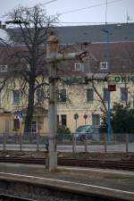 Alter Baum und alter Wasserkran in Riesa, wer ist lter ? 15.11.2013   14:24 Uhr