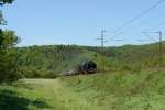 In Odensachsen fotografierte ich den Sonderzug mit 01 118 und 01 1066, der auf dem Weg zum Dampfloktreffen in Bebra war. (11.05.08)