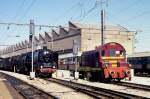 Eine deutsche Dampflok und eine luxembourgische Diesellok auf einem Bild!
01118 und dahinter noch zu erkennen 011066 trafen am 7.9.1966
die Diesellok CFL 804 im Hauptbahnhof Luxembourg. Die beiden  Dampfer  hatten
einen schweren Sonderzug aus Deutschland zum Jubilum in die luxembourgische
Hauptstadt gebracht. Bei ihrer Ankunft stand zufllig CFL 804 parallel
dazu und rangierte gerade eine CFL Garnitur.