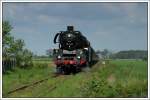 03 1010 brachte am 3.5.2008 einen Sonderzug aus Berlin zur Dampflokparade nach Wolsztyn.