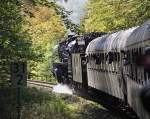 Anfang Oktober merkte man schon deutlich, dass der Herbst Einzug hlt, so wie die 03 1010 beim erklimmen der Steigung durch den Wald zwischen Plaue und Oberhof die losen Bltter aus den Bumen geschossen hat. Aufgenommen am 02.10.2011 im Rahmen der Sonderfahrt der Dampfmacher Bebra.