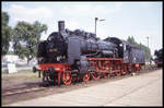 1000 Jahr Feier der Stadt Potsdam am 20.5.1993: Dampflok 381182