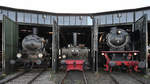 Die Dampflokomotiven 4981, 89 339 & 41 024 Mitte September 2019 im Eisenbahnmuseum Darmstadt-Kranichstein.