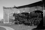 44 2398 und 50 3698 Rundlokschuppen Chemnitz-Hilbersdorf - Nicht wie angeschrieben muss es sich um 44 1338 handeln, die Lokomotive wurde im Sommer 1942 in Dienst gestellt - Bei 50 3698 muss es sich um 50 3648 handeln. Sie war die einzig betriebsf�hige Dampflokomotive des S�chsischen Eisenbahnmuseum. Aktuell ist bei der Lokomotive eine Hauptuntersuchung f�llig. Chemnitz-Hilbersdorf, 12.03.2022
