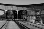 44 2398 und 50 3698 Rundlokschuppen Chemnitz-Hilbersdorf - Nicht wie angeschrieben muss es sich um 44 1338 handeln, die Lokomotive wurde im Sommer 1942 in Dienst gestellt - Bei 50 3698 muss es sich um 50 3648 handeln. Sie war die einzig betriebsf�hige Dampflokomotive des S�chsischen Eisenbahnmuseum. Aktuell ist bei der Lokomotive eine Hauptuntersuchung f�llig. Chemnitz-Hilbersdorf, 12.03.2022