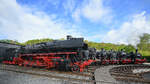 Im Bild die von 044 377-0 angef�hrte Reihe von Dampflokomotiven, welche Mitte April 2026 vor dem Ringlokschuppen des Bochumer Eisenbahnmuseums anl�sslich der Museumstage pr�sentiert wurden.