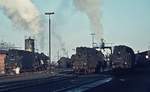 Auch ein schöner Rücken kann entzücken: Alle vier damals noch auf der Emslandbahn eingesetzen Dampflokbaureihen präsentieren sich an einem kalten Februarmorgen 1975 im Bw Rheine