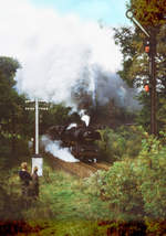 Im Flöhatal nahe dem Haltepunkt Leubsdorf kämpft sich die Lokokmotive 50 3655 mit einem Güterzug von Chemnitz am 19. Oktober 1985 die Steigung nach Pockau-Lengefeld hinauf.