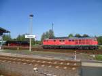 50 3610-8 und 241 353-2 standen im Bahnhof zum BW Fest in Nossen am 24.09.11.