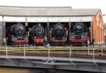 DB Museum 50 3688-4 + 91 6580 + 44 0093-3 + 01 0531-2 am 20.09.2015 beim Eisenbahnfest im Eisenbahnmuseum Arnstadt.