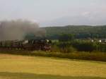 Br 50 3655 fuhr am 21.09.08 mit ihrem Sonderzug von Ottbergen nach Bad Driburg durch die Feldemark bei Herste; kurz vor Bad Driburg.