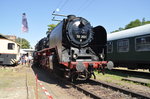 Führerstandsmitfahrten mit 50-3501 beim Sommerfest 2016(27.08.2016) in Halle/Saale