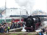 Dampflok 52 8177-9 vor tausenden Eisenbahnfans am 27.4.2013 in Wolsztyn.