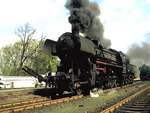 Dampflok Hochburg Kamenz (DDR)1983 Archiv P.Walter