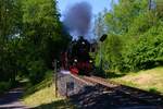 Historische Eisenbahn Frankfurt 52 4867 am 28.05.23 beim Dampf in den Taunus in Kelkheimer Wald 
