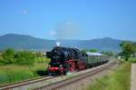 Im Rahmen des Dampfspektakels konnte am 31.05.2014 bei strahlender Sonne und vor der herrlichen Kulisse des Pfälzerwaldes 52 8134 mit ihrem DPE 80332 (RN - RLA) in den Feldern vor Edesheim auf den Chip gebannt werden.