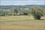 Auf dr schwäbische Eisebahne - oder - 10 Jahre Bodo. 

75 1118 mit einem standesgemäßen Sonderzug im freien Feld bei Niederbiegen. Mai 2014. 