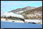 Bei Albstadt Laufen konnte ich den Sonderzug mit  Meute  aufnehmen. Aufgenommen am 03.01.09