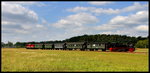 91 134 und 112 703 mit einem Sonderzug nach Ueckermünde Stadthafen bei Torgelow am 23.07.16