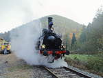 Lokomotive Speyerbach  in Erfenstein, der Ort für einen kurzen Fotohalt am 20.