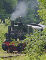 Dampflok  Waldbröl  hat bei Osberghausen einen Raubvogel aufgeschreckt (24.7.16).