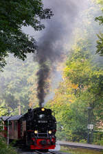 Zur Abfahrt bereit im Bahnhof Steinerne Renne 99 7232-4 7.9.25