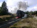 99 7237-9 mit einem  zug zum Brocken im Sommer 2009