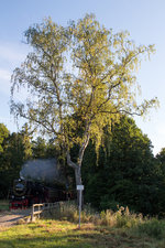 An meinem Fototag im Harz, dem 18.08.16 entstand das erste Bild eher zufällig beim Erkunden eines Teiles der Selketalbahn.