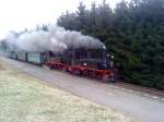 Osterdampf in Schnheide, am 04.04.10. Heute mit 99 516 und 99 582, hier au dem Weg von Sttzengrn nach Neuheide.