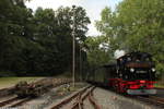 99 1568-7 rollt mit dem ersten Zug des Tages in Steinbach rein.