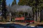 99 1608 mit einem Fotogüterzug in der Ausfahrt Vierenstraße Richtung Oberwiesenthal, 23.3.19