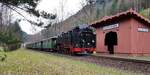 Zittauer Schmalspurbahn__99 731 mit ihrem Zug von Oybin kommend an der Haltestelle 'Teufelsmühle'.__03-03-2024