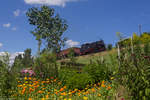 99 1785 mit dem Fotogüterzug im blühendem Garten in Neudorf Richtung Oberwiesenthal, 30.7.17