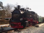 Lok 99 1781-6 , am 24.3.2012 im Bahnhof Ghren , abfahrbereit Richtung Putbus.